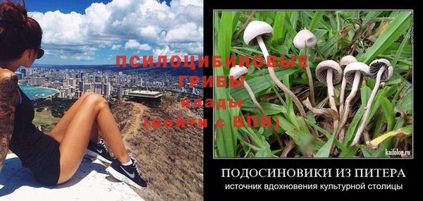 шишки Богданович