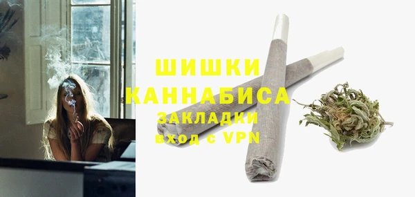 шишки Богданович