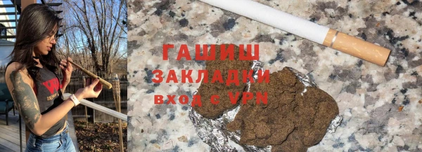 крисы Бородино