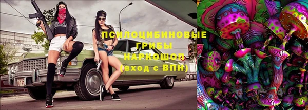 крисы Бородино