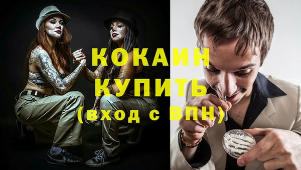 крисы Бородино