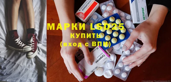 крисы Бородино