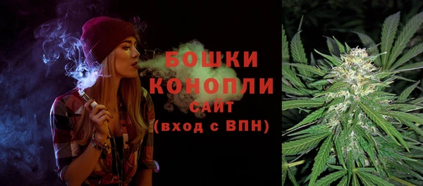 Альфа ПВП Богородск