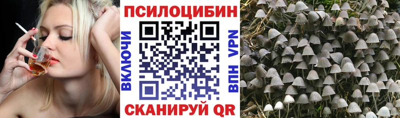 Галлюциногенные грибы MAGIC MUSHROOMS  Йошкар-Ола 